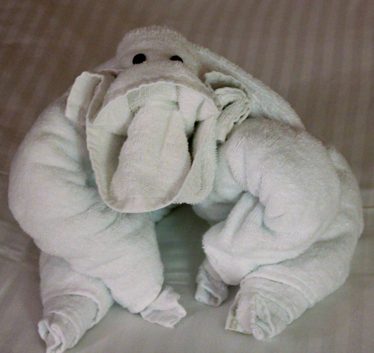 Love the towel animals!  Always a nice surprise!