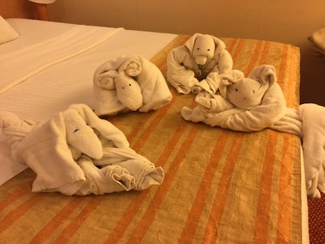 Towel animals that were left in cabin every day