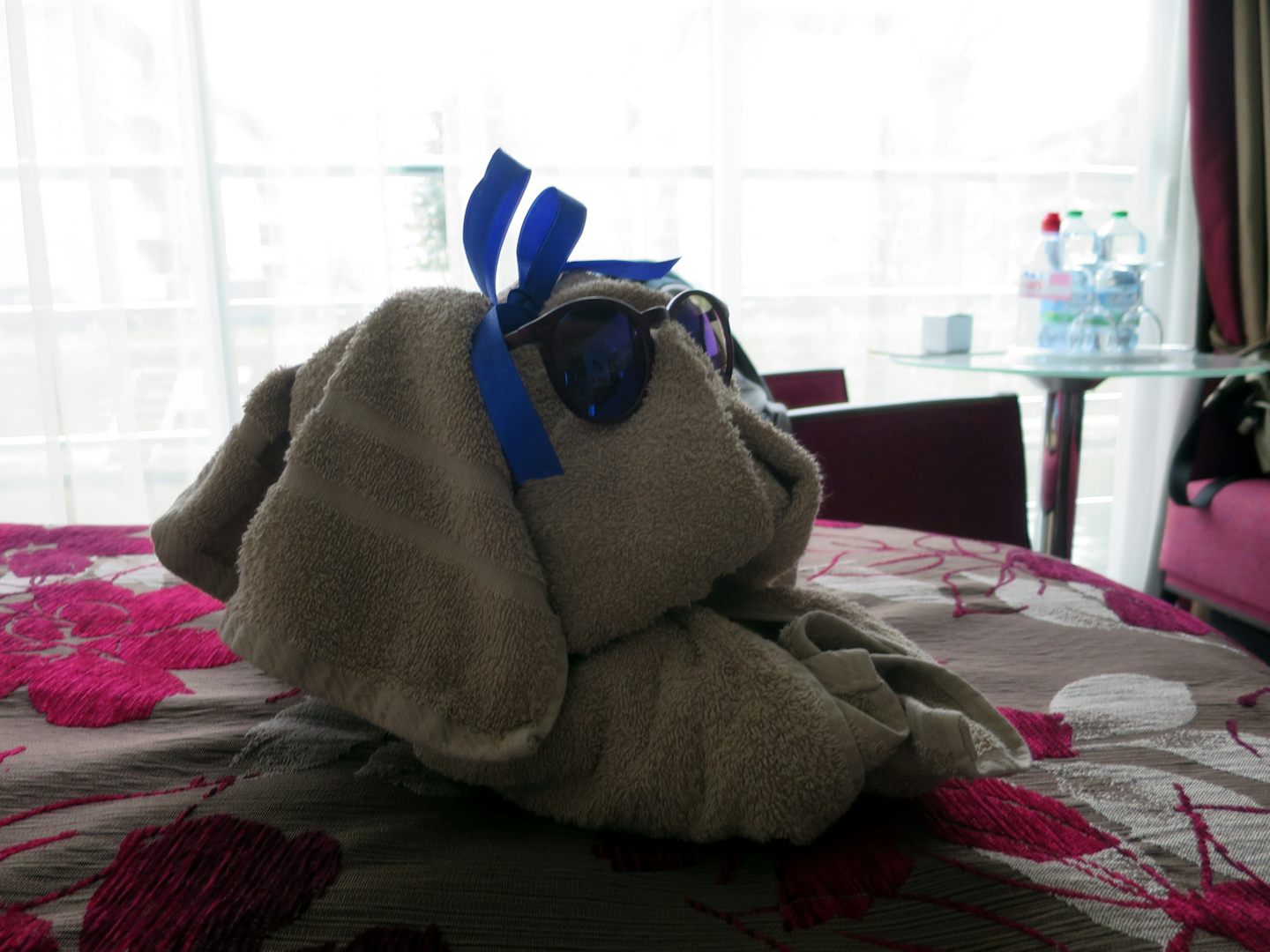 An example of how awesome the crew is! They made this little towel doggy fo