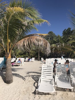 Shore Excursion at Playa Uvas in Cozumel
