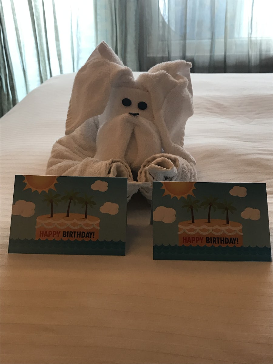 Birthday cards for me and my wife with an animal towel