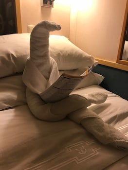 Towel art in our room - nice touch !