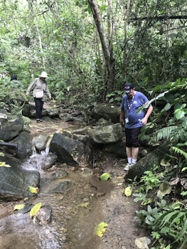 Manta rainforest hike