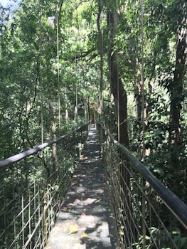 Skybridge Walk in Costa Rica