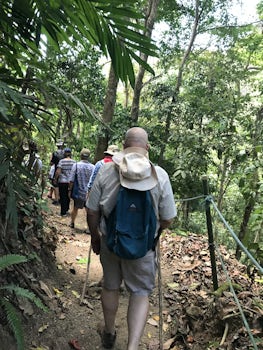 Skybridge walk in Costa Rica