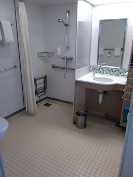 Accessible bathroom in cabin 3602