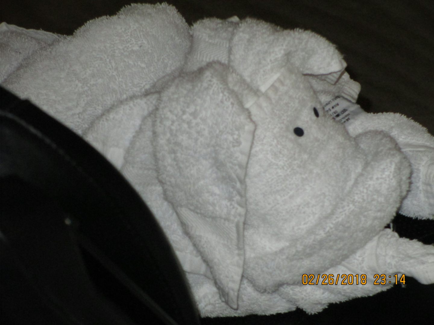 A towel animal, in our cabin