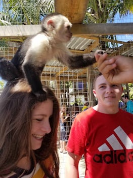 Daniel Johnson's Monkey Sloth Sanctuary