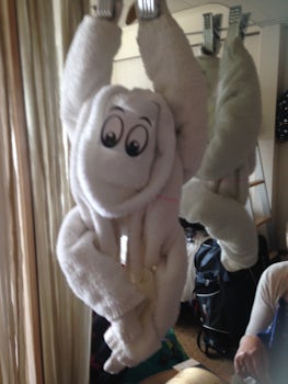 One of our cute room towel animals. Such a delight to come back to