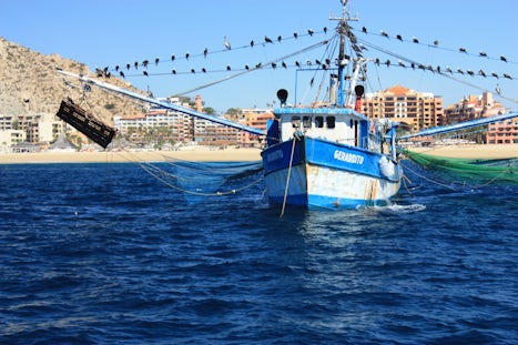 Interesting anchored fishing boat at Cabo COVERED with pelicans and sea gul