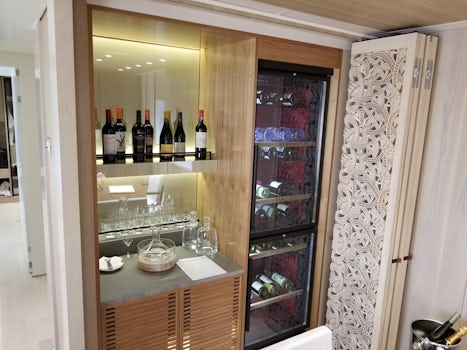 Wine Cooler and storage