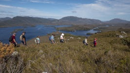 Near the summit of Mount Beattie at Port Davey in Tasmania's South West National Park