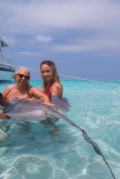 Swimming with the Stingrays at Stingray City