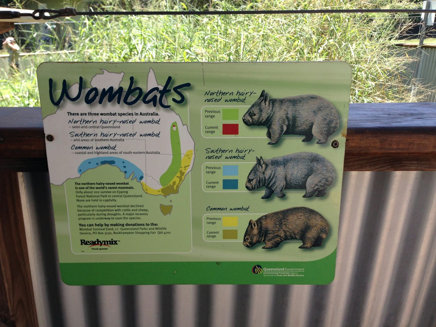 Tour:  Lone Pine Koala Sanctuary.  Wombats placard