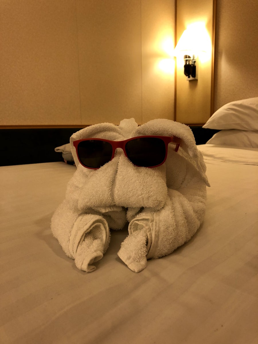 Towel animals. Your mileage may varied depends on your housekeeper's sk