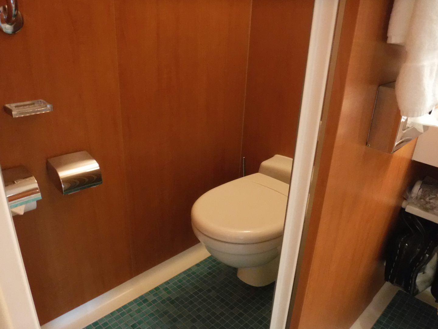 Cabin 11632 Mini Suite toilet area
