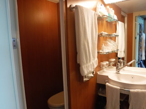 Cabin 11632 Bathroom sink and toilet.  Very little storage in bathroom.