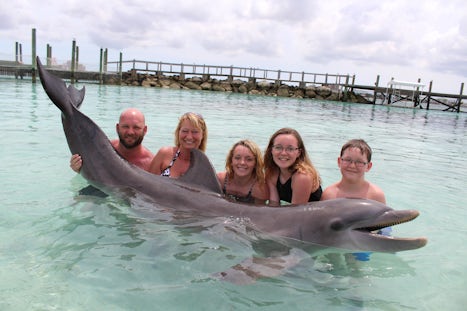 Balmoral Island Dolphin Encounter - this was probably our favorite part of