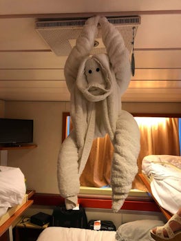 1 of several towel critters that were in our cabin to greet us each day