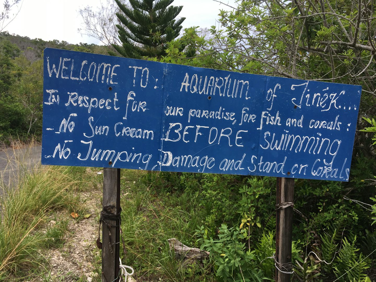 At Jinek Bay in Lifou, the locals plead for no reef-damaging sunscreens and