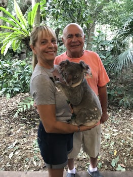 Mac our koala