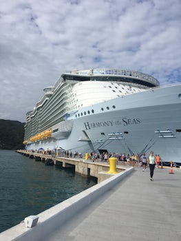 Ship in port at Labadee, Haiti - every excursion was fabulous.