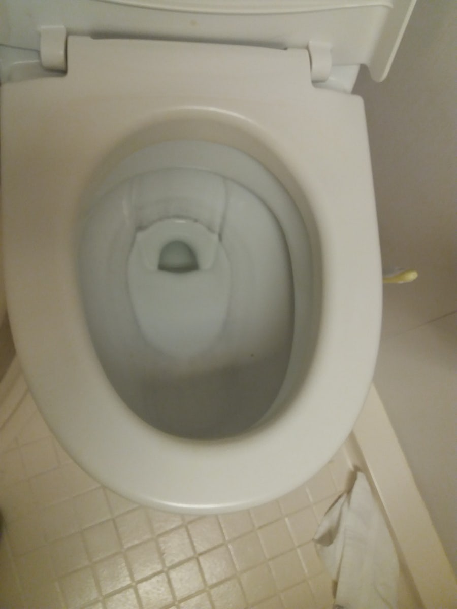 The toilet is old and dirty, it is beyond the possibility of cleaning
