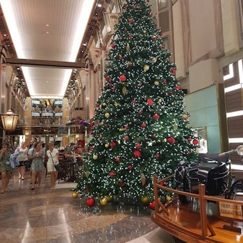 The Christmas tree in the promenade