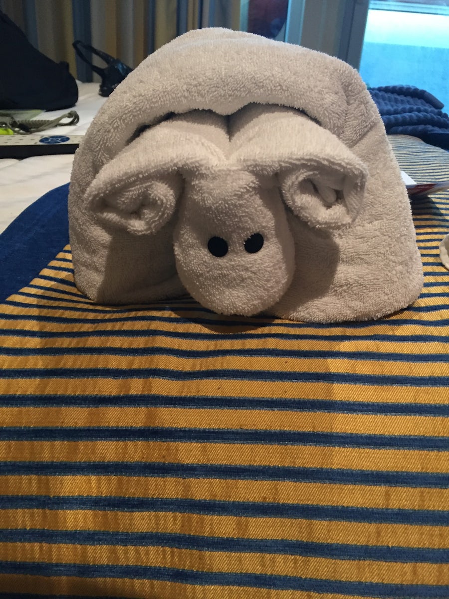 Towel animal left in our cabin by our stateroom steward, Maugn!!!