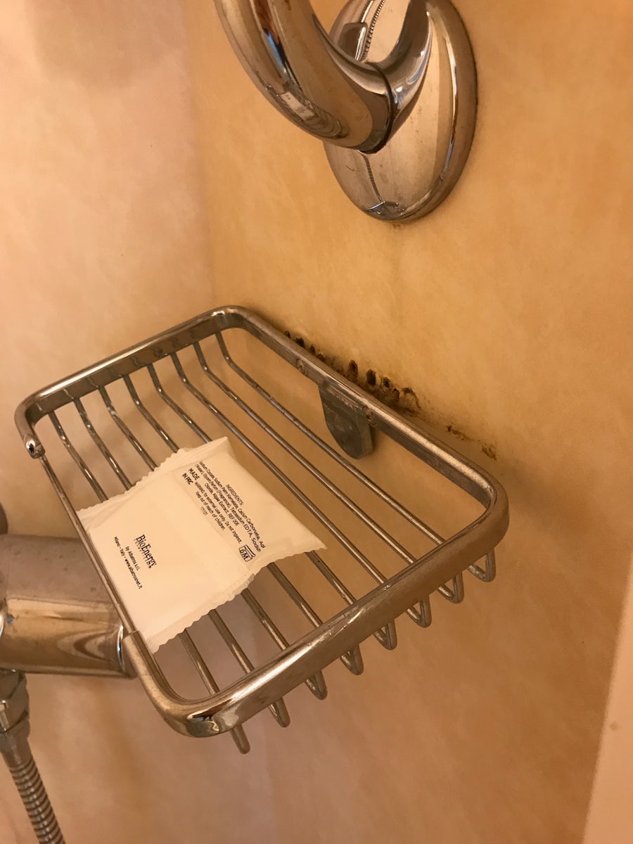 Soap trays in shower were rusted and falling off the wall
