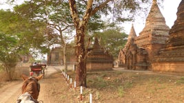 Horse & Cart Ride Around Bagan Pagodas