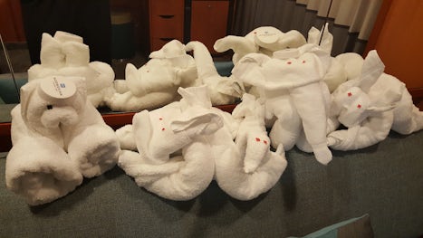 Towel animals left in our room each night