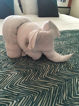 The steward left these cute animals in the room every day