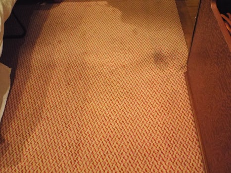 Carpet was clean... showing old stains. They did come in and "refresh i