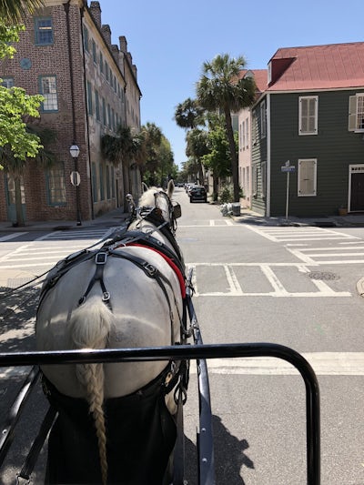 Horse drawn carriage ride in the historic district of sunny Charleston, SC.