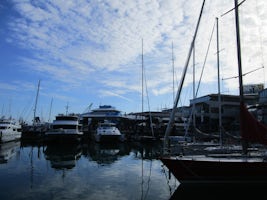 Yacht Harbour Auckland