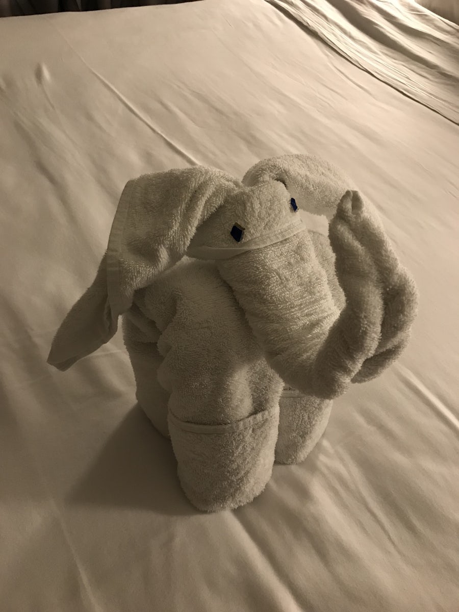 One of our folded towel animals.