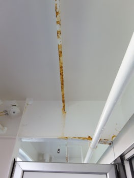 Rusted ceiling pipes.