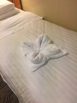 Our cabin steward left this for us one night this night it was a flower