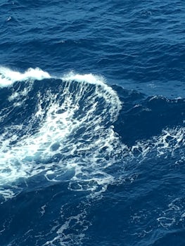 This is the ocean on our sea day was trying to get a photo of the flying fi
