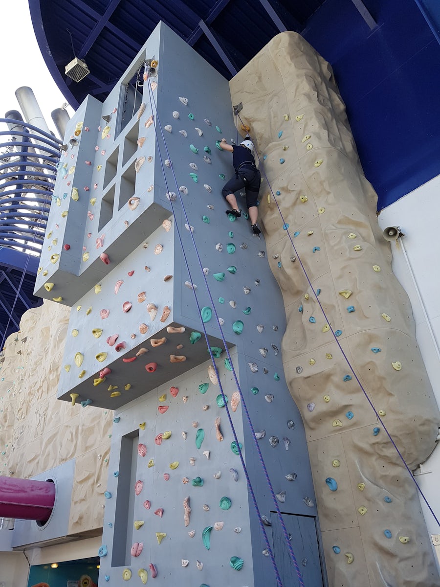 The climbing wall