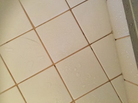 black mold in the shower
