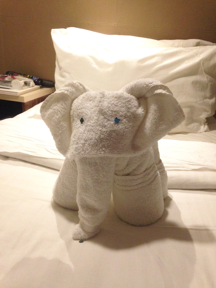 This is a picture of the elephant that Felipe made out of towels.