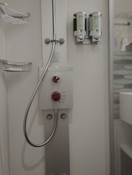 room 11109 shower controls, one main overhead showerhead and six small dire