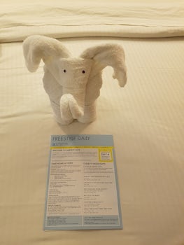 One of the towel animals we got and the informative Freestyle Daily.