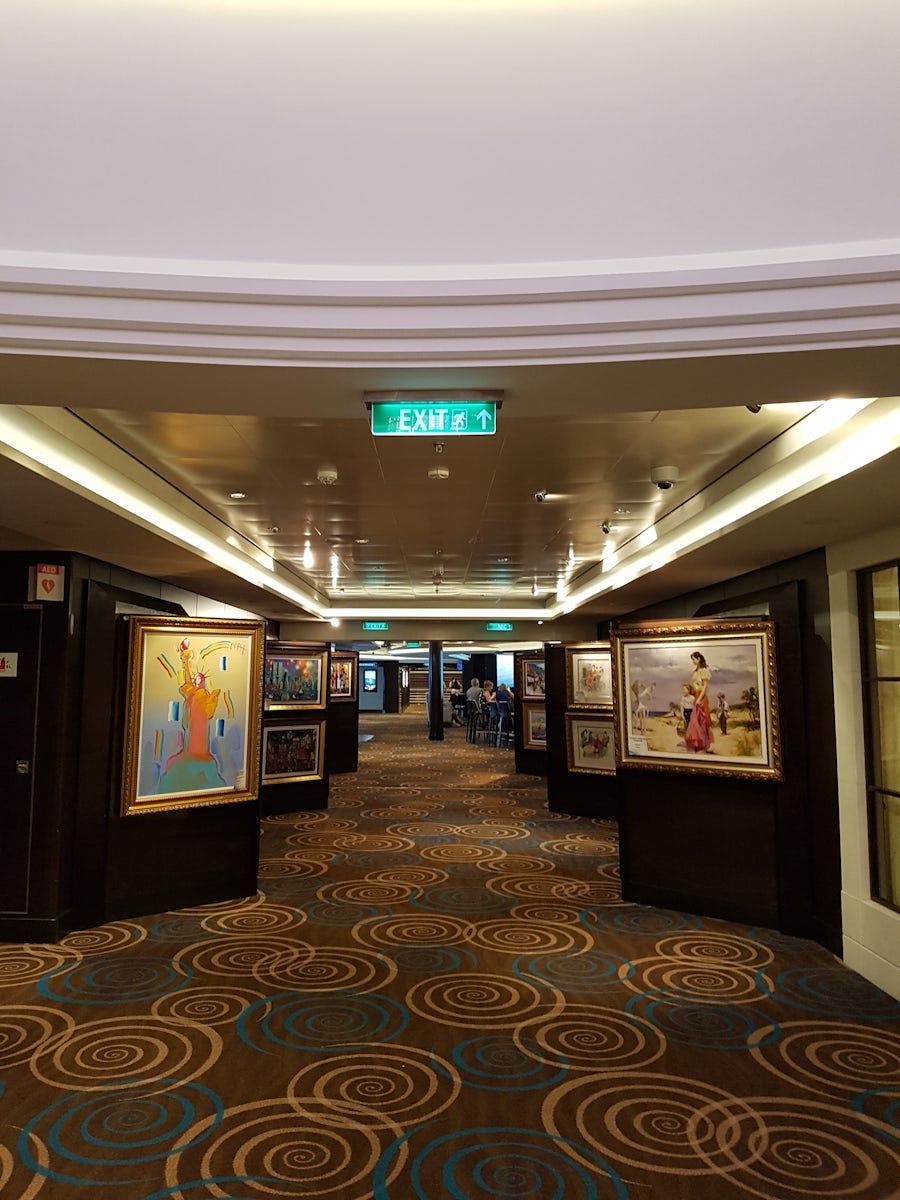 Art gallery at deck 6.