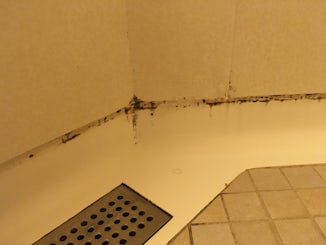 Mold in initial room.  It took about 36 hours to get this (mostly) cleaned)