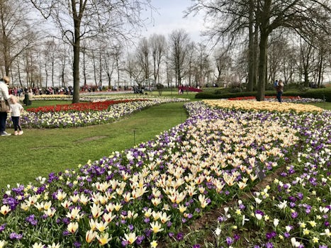 Keukenhof Gardens - Simply Gorgeous!  Also arrived early enough to beat the