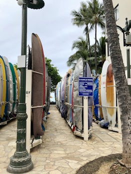 Surf school in Oahu