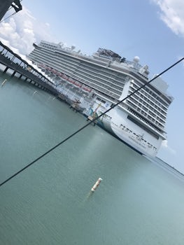 The cruise